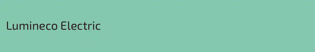 Lumineco Electric